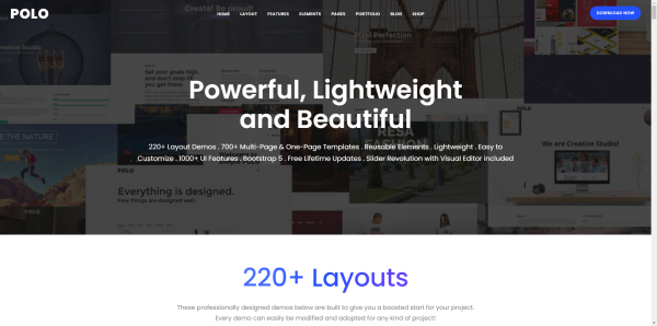 Polo - Multipurpose HTML Template