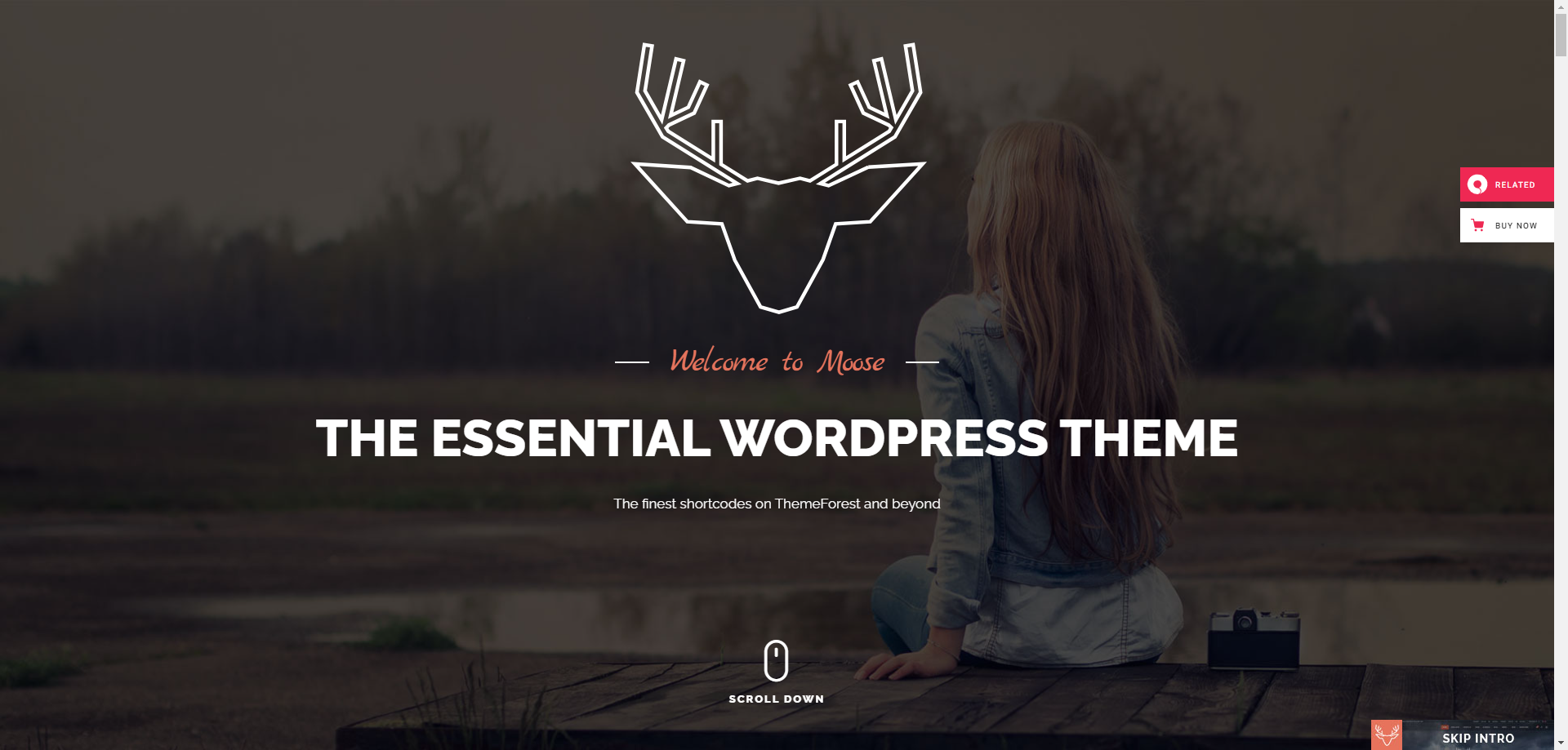 Moose - Creative Portfolio Template